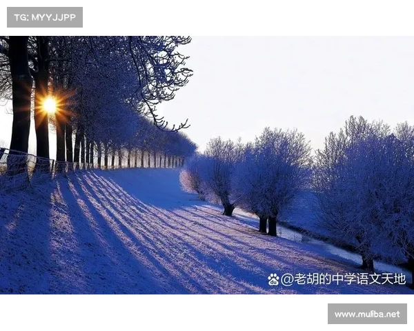 雪圆缘:探寻雪地中的神秘缘分与自然奇观之美 雪圆缘:探寻雪地中的神秘缘分与自然奇观之美